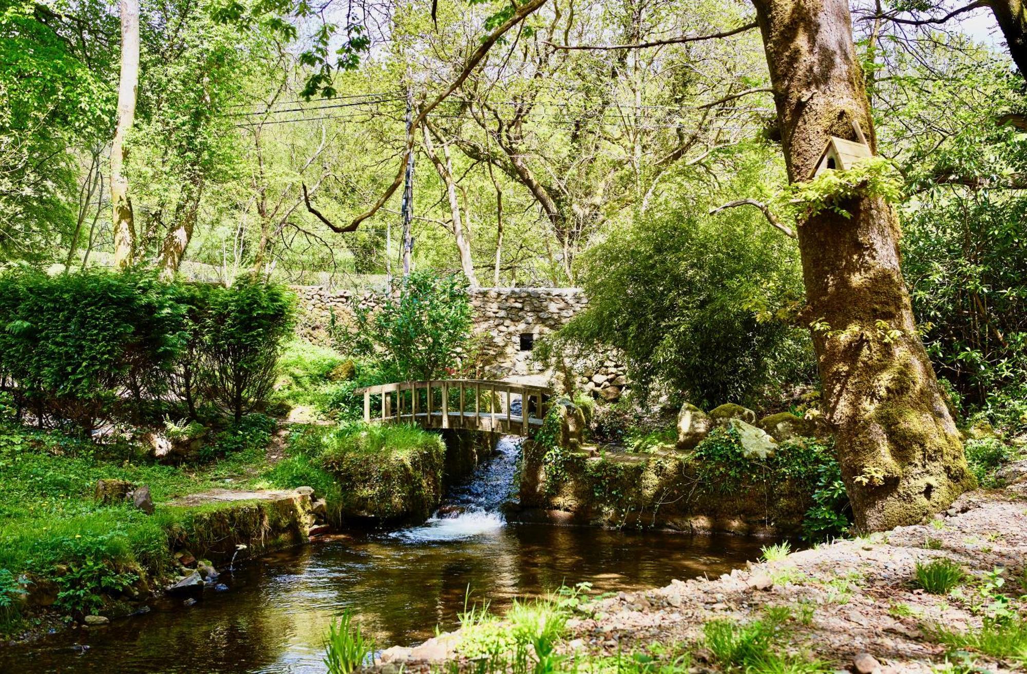 Afon Rhaiadr Country House Dolgellau Exterior photo